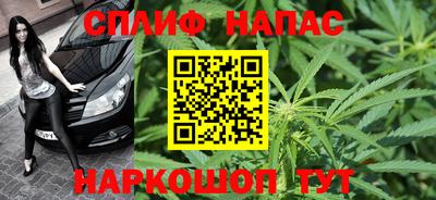 сатива Гагарин