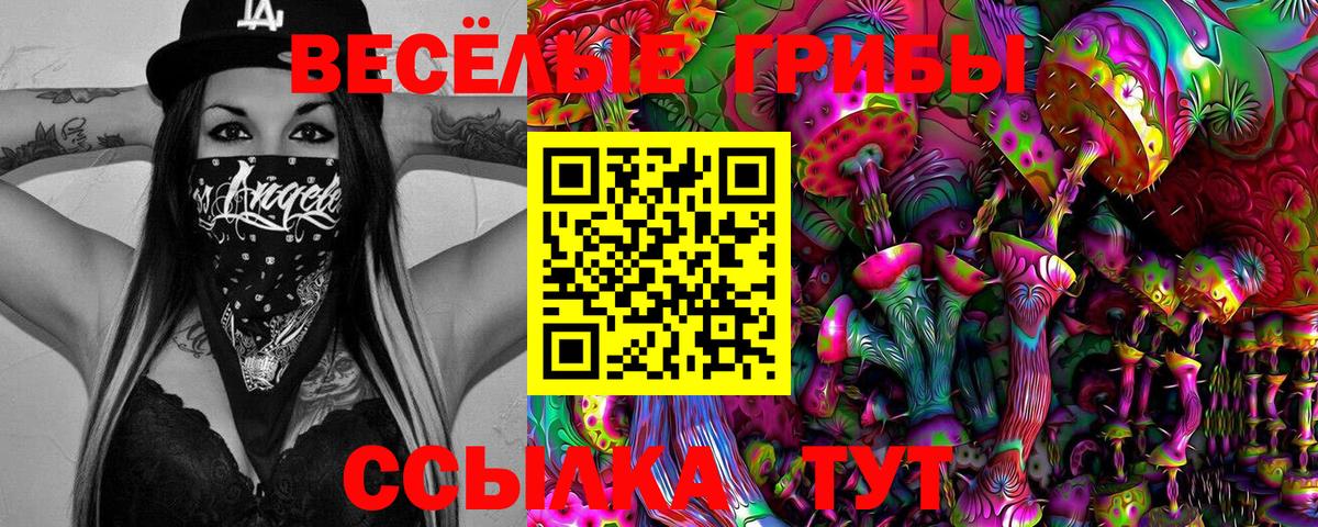 Псилоцибиновые грибы Cubensis  Вход с VPN  Ртищево  Псилоцибиновые грибы GOLDEN TEACHER 