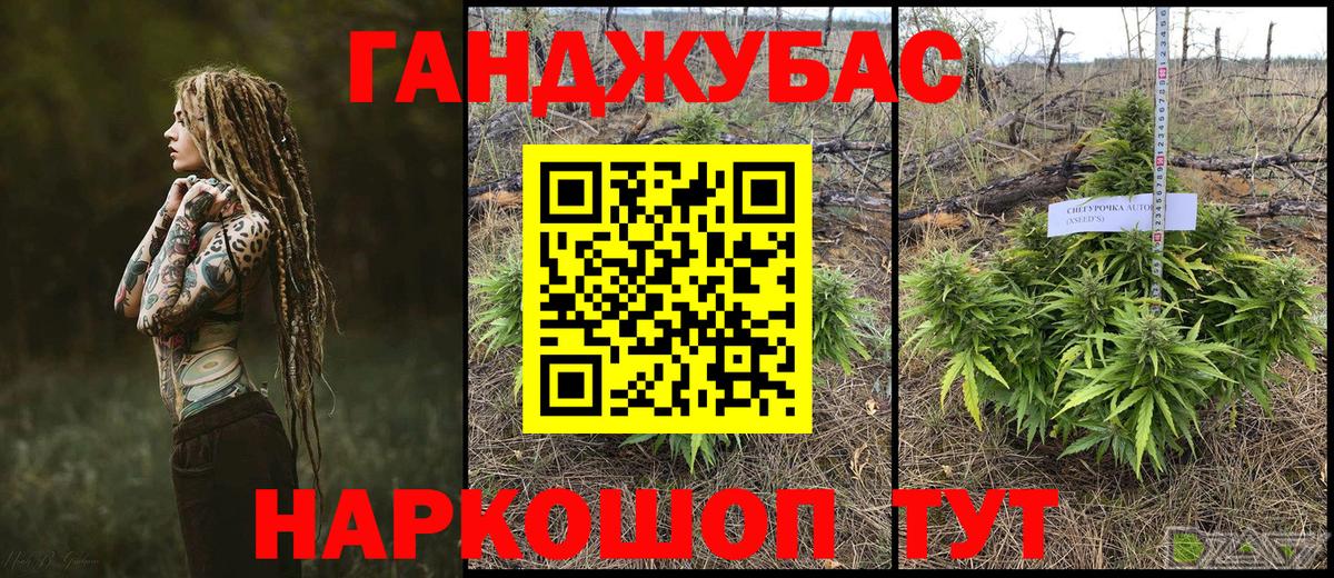 Бошки Шишки планчик Ртищево